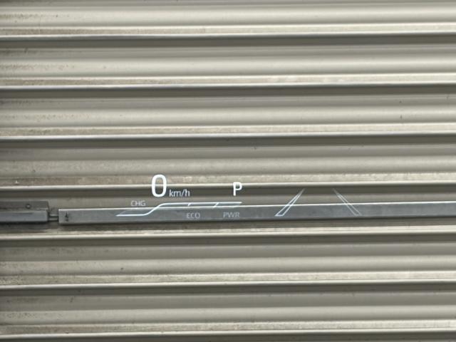 23616514_carP_l_7.jpg