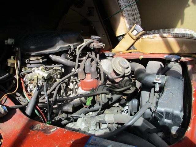 5002109_carP_l_17.jpg