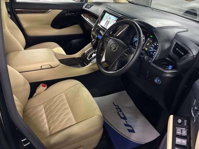 27209896_carP_l_10.jpg