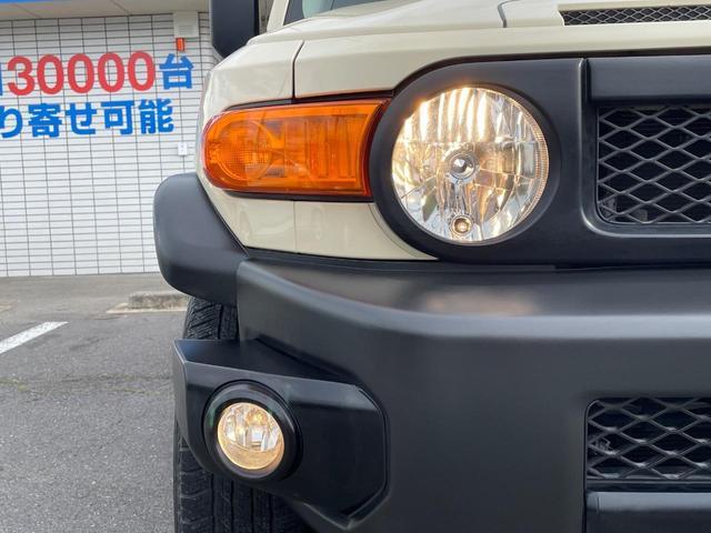 24768148_carP_l_20.jpg