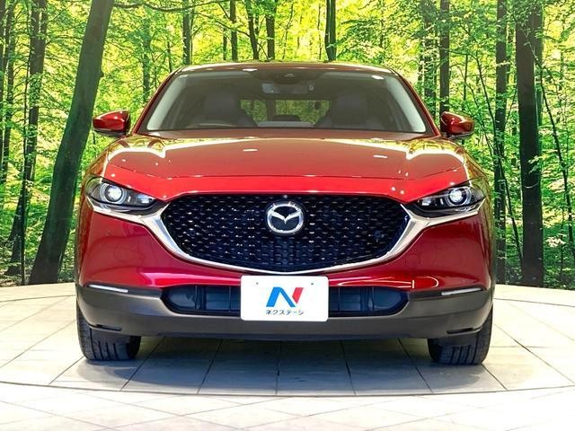 26861546_carP_l_8.jpg