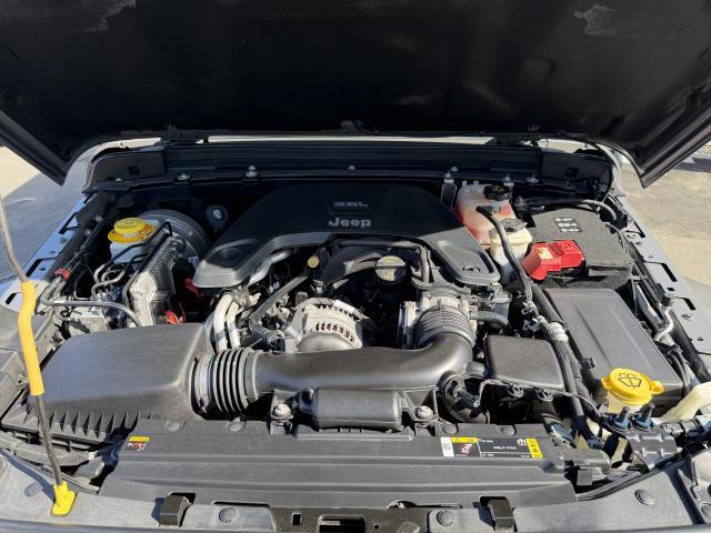24381321_carP_l_19.jpg