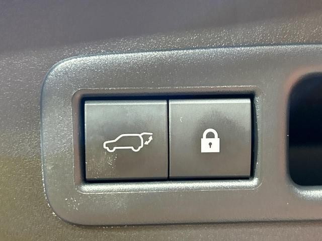 25446012_carP_l_14.jpg