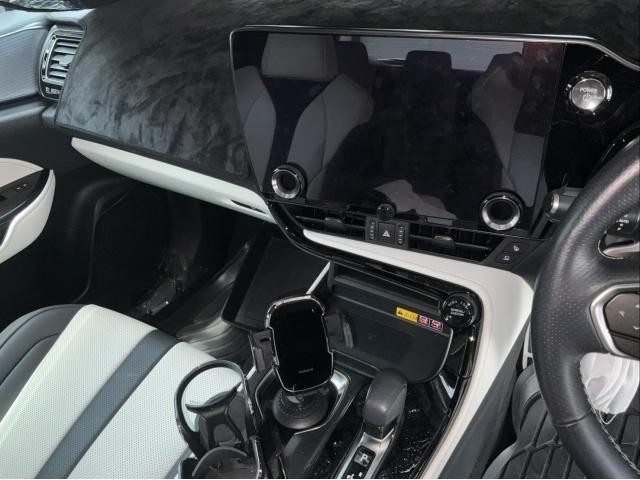 25344849_carP_l_17.jpg