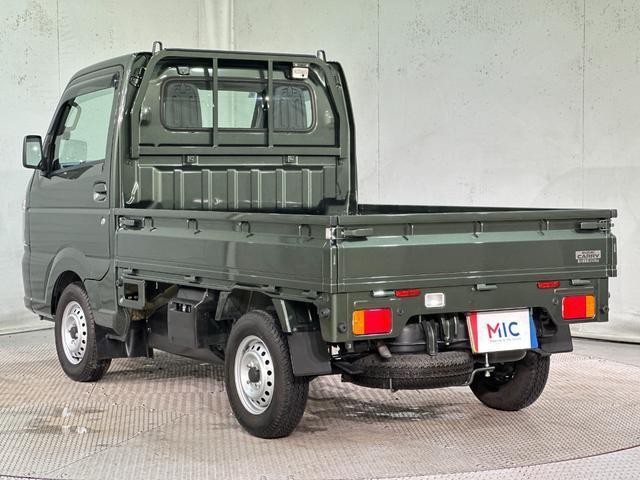 25359207_carP_l_16.jpg