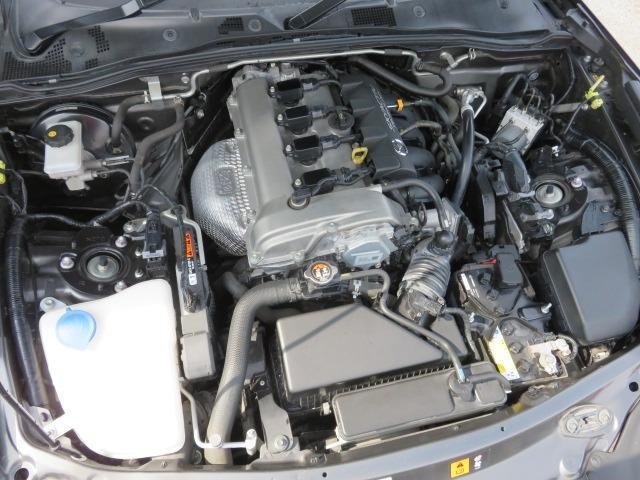 26725934_carP_l_5.jpg