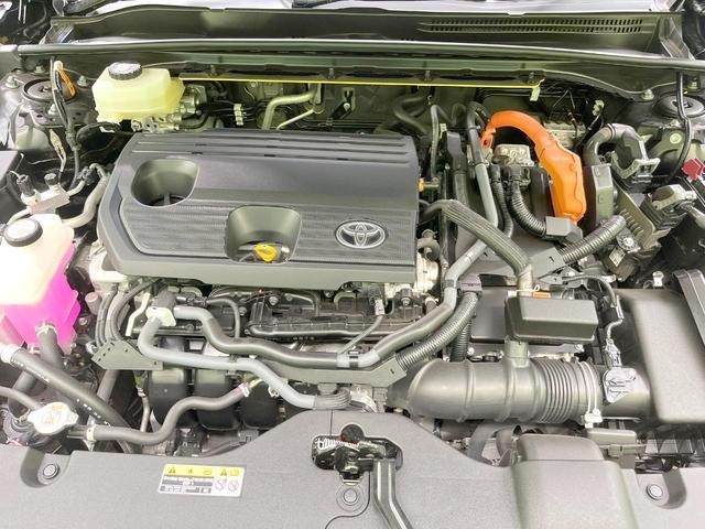 25549339_carP_l_12.jpg