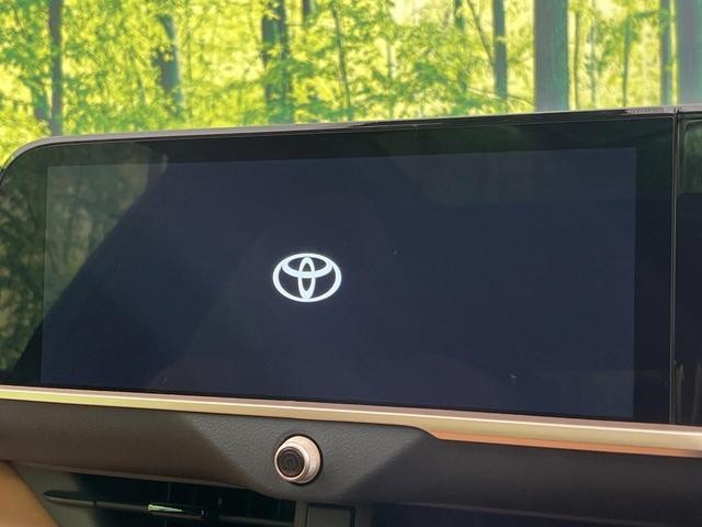 26230461_carP_l_4.jpg