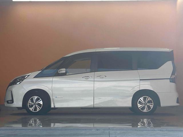 23391072_carP_l_6.jpg
