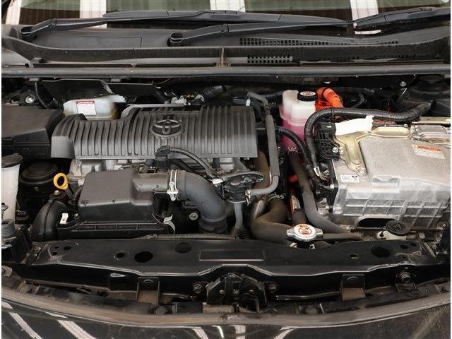 26380729_carP_l_18.jpg
