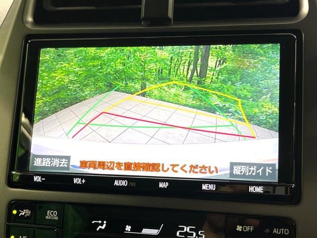 25035908_carP_l_4.jpg