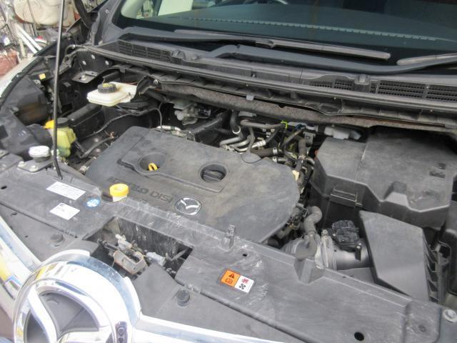 22874551_carP_l_16.jpg