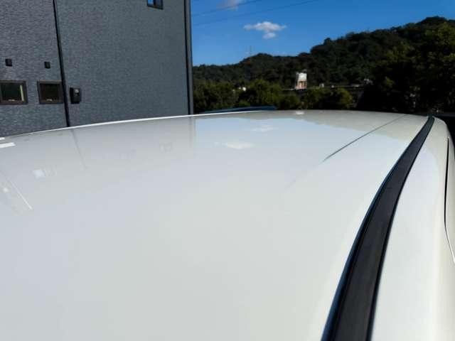 27050907_carP_l_10.jpg