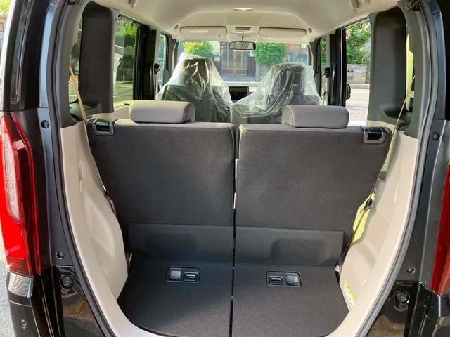 24886527_carP_l_16.jpg