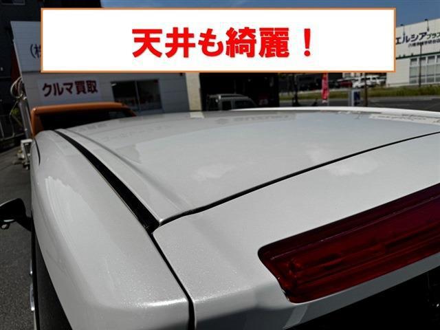23950420_carP_l_6.jpg