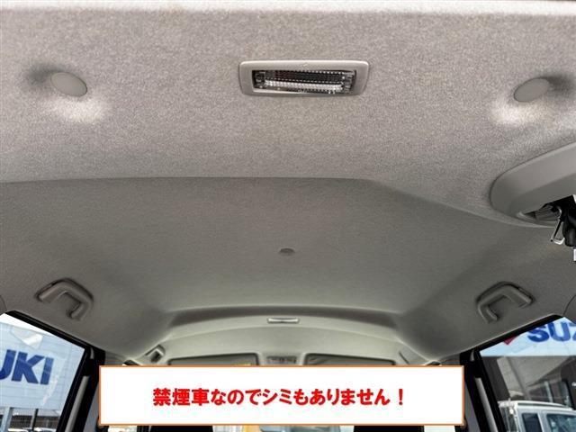 23950420_carP_l_7.jpg