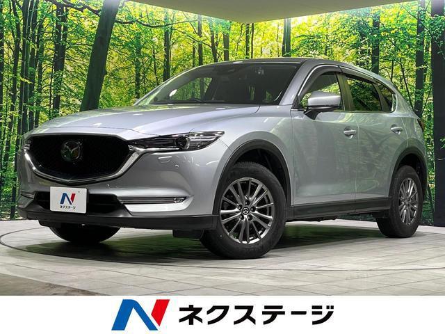 25446199_carP_l_1.jpg