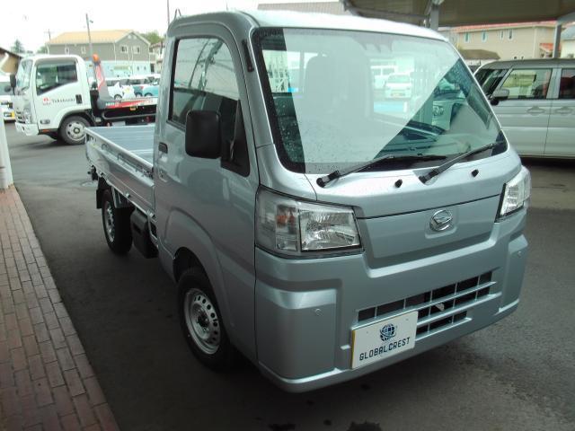25015546_carP_l_2.jpg