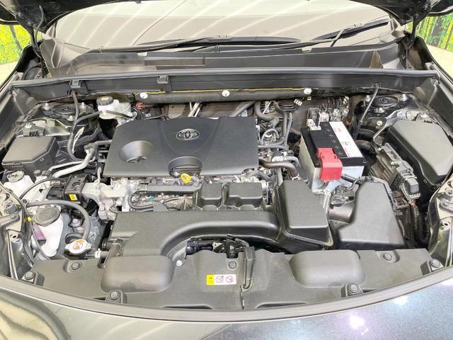 24259745_carP_l_16.jpg