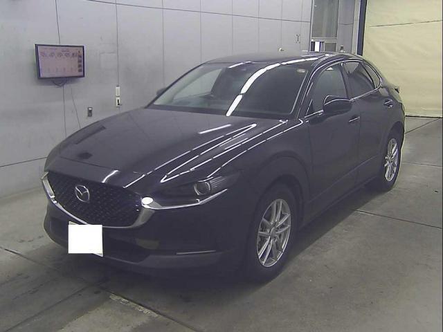 23950477_carP_l_1.jpg