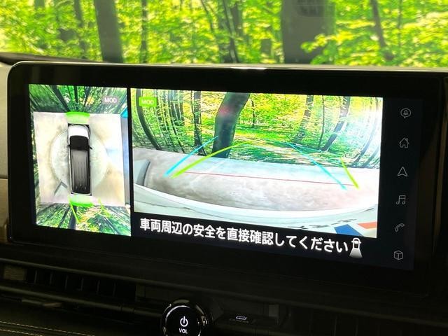 25241277_carP_l_4.jpg