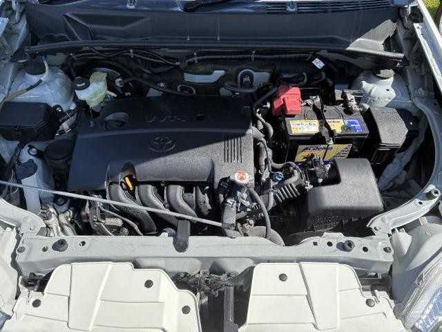 26989669_carP_l_20.jpg