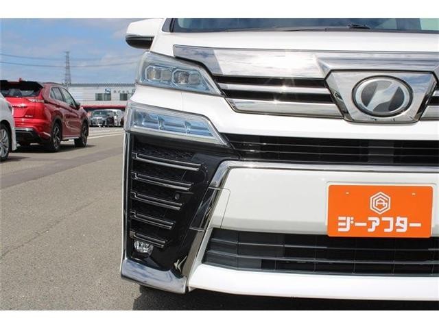 26380740_carP_l_8.jpg