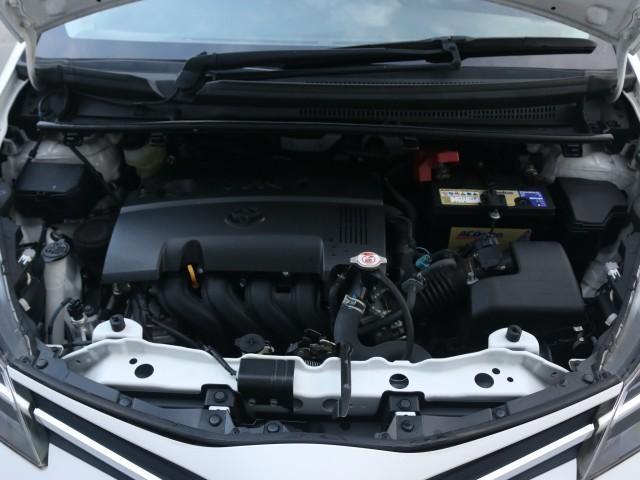 23244785_carP_l_17.jpg