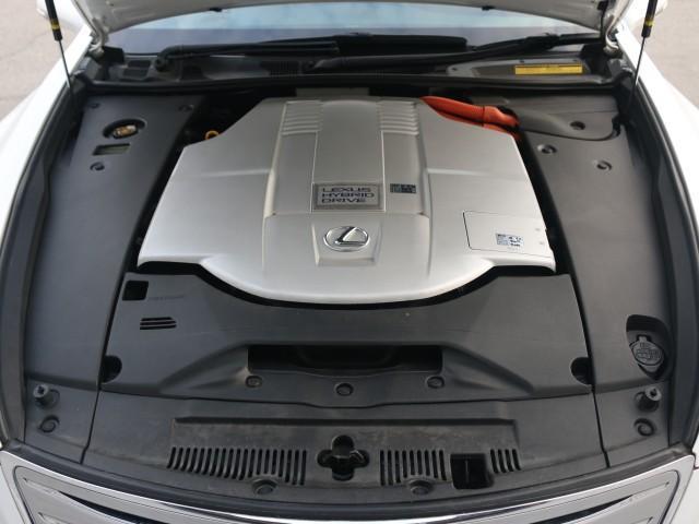 23244834_carP_l_17.jpg