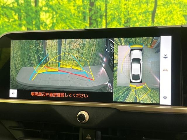 26578141_carP_l_10.jpg
