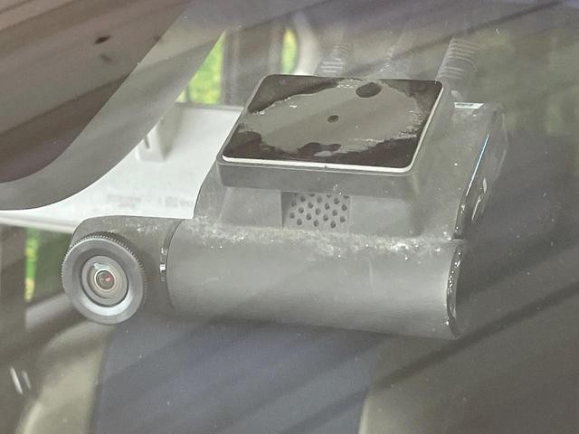 25904583_carP_l_13.jpg