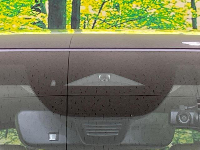 23675420_carP_l_15.jpg