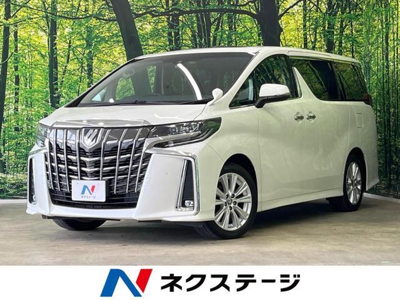 2019 Toyota Alphard, photo 1 of 1