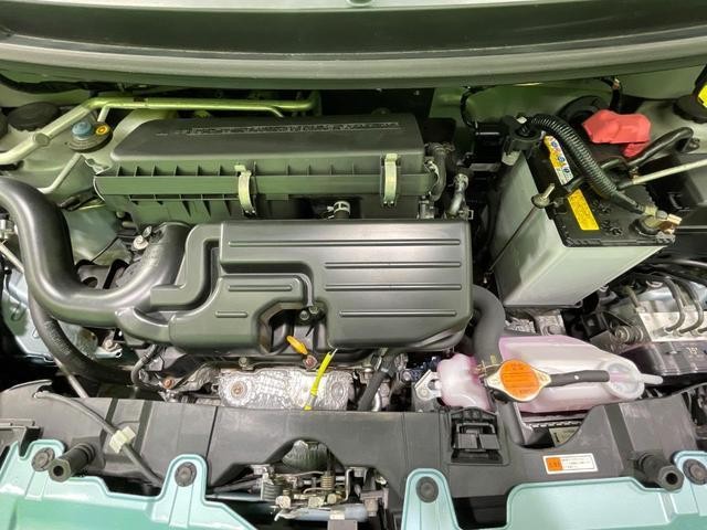 25904597_carP_l_16.jpg