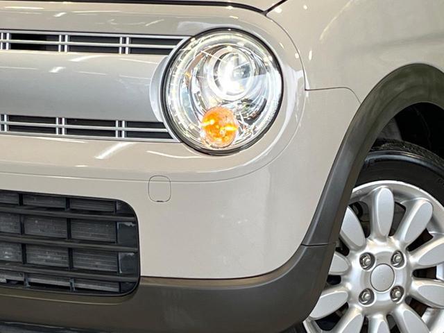 23734910_carP_l_6.jpg
