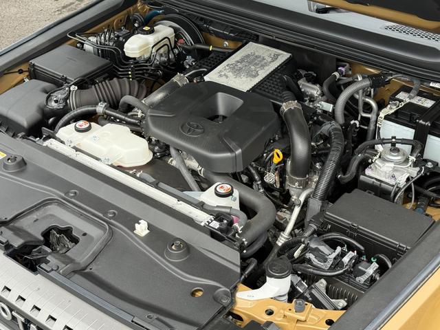 0208956A30260616W00208.jpg