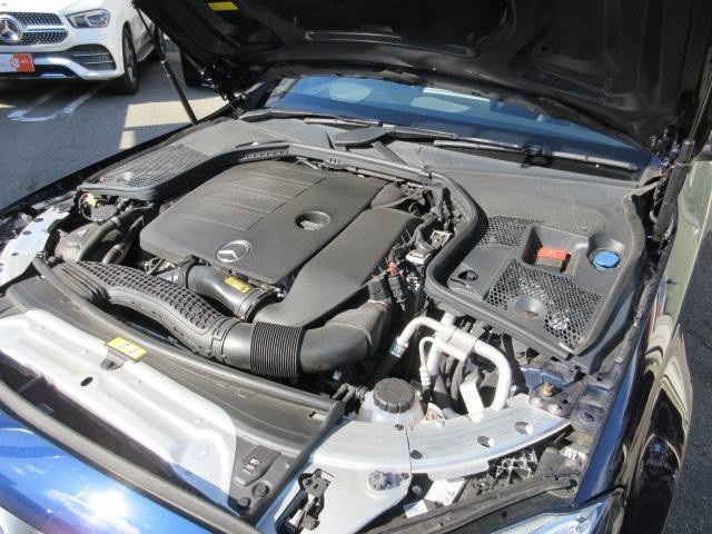26930670_carP_l_17.jpg