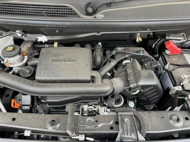 23735027_carP_l_16.jpg