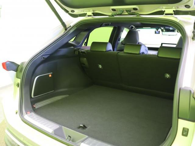 24435489_carP_l_6.jpg