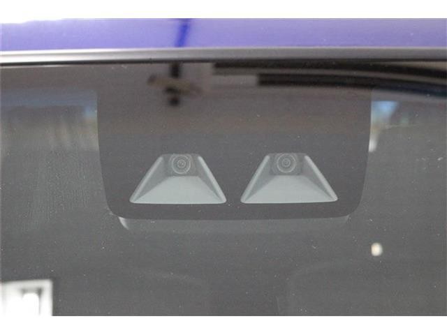 27009689_carP_l_7.jpg