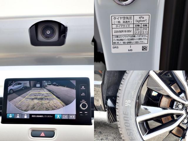 24542127_carP_l_2.jpg