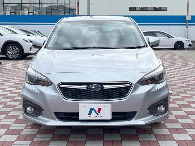 23339733_carP_l_8.jpg