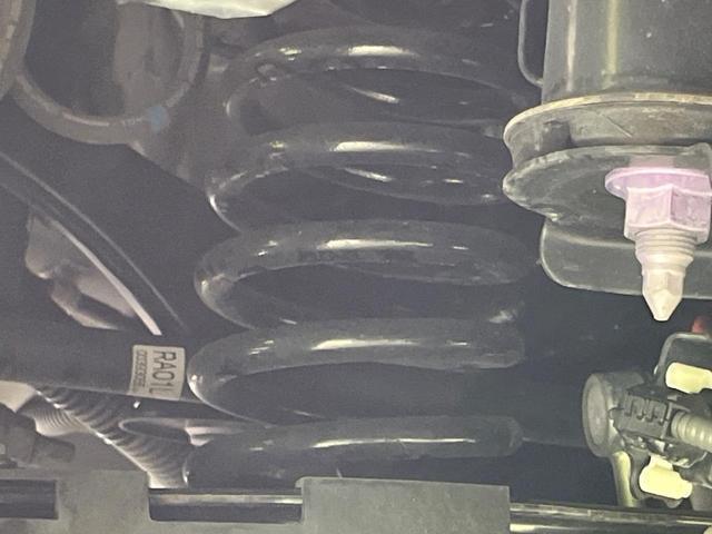 24664777_carP_l_20.jpg