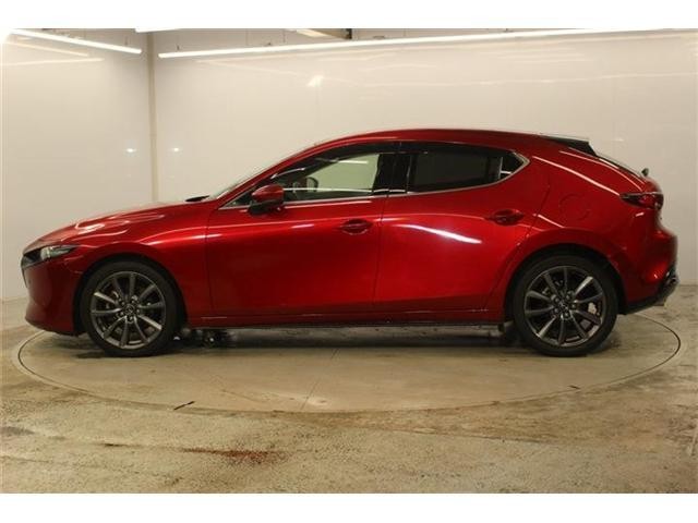 26483932_carP_l_17.jpg