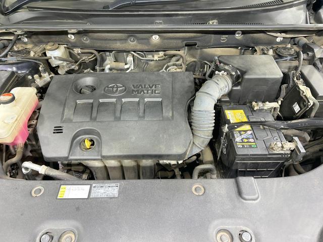 23377193_carP_l_16.jpg