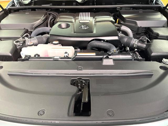 24932190_carP_l_16.jpg