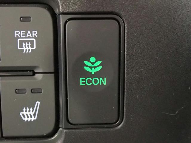 0230024A30260523W00209.jpg