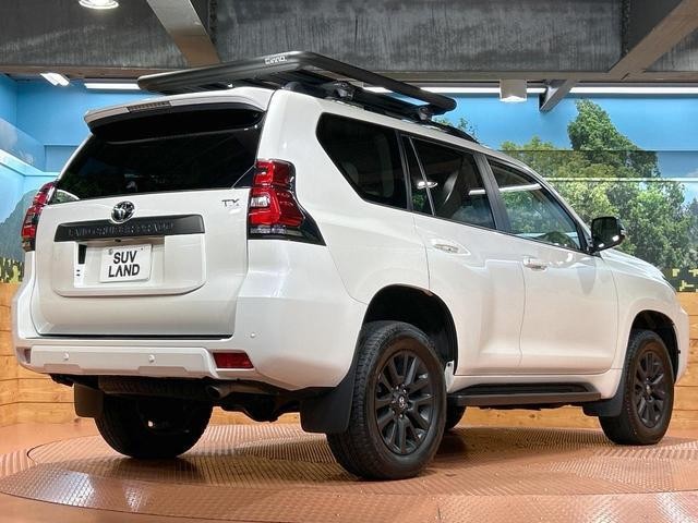 25179447_carP_l_12.jpg