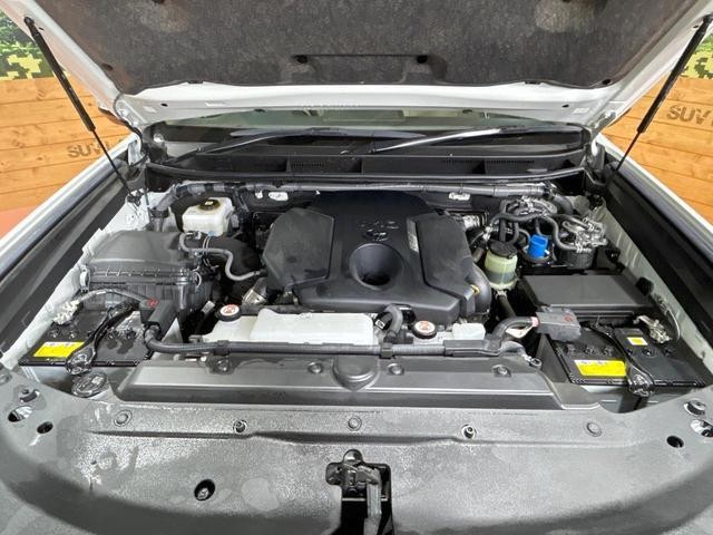 25179447_carP_l_16.jpg
