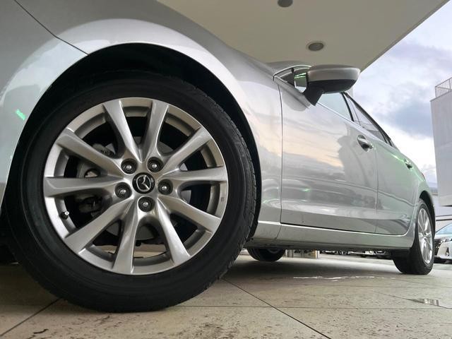 25774147_carP_l_7.jpg